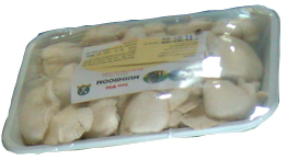 "Save Wild" Mushroom
