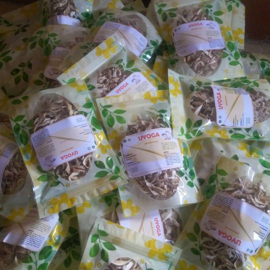 Save Wild "Dried Mushroom"