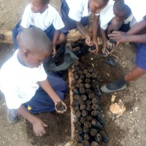 Save Wild Club members have started a tree nursery project