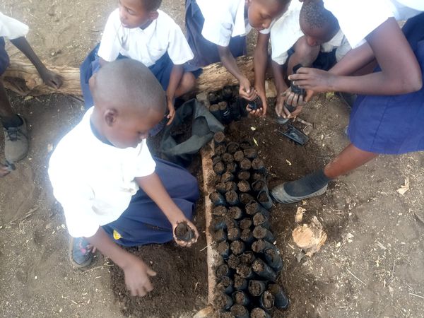 Save Wild Club members have started a tree nursery project