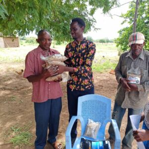 ECOWICE supported farmers with sesame seeds