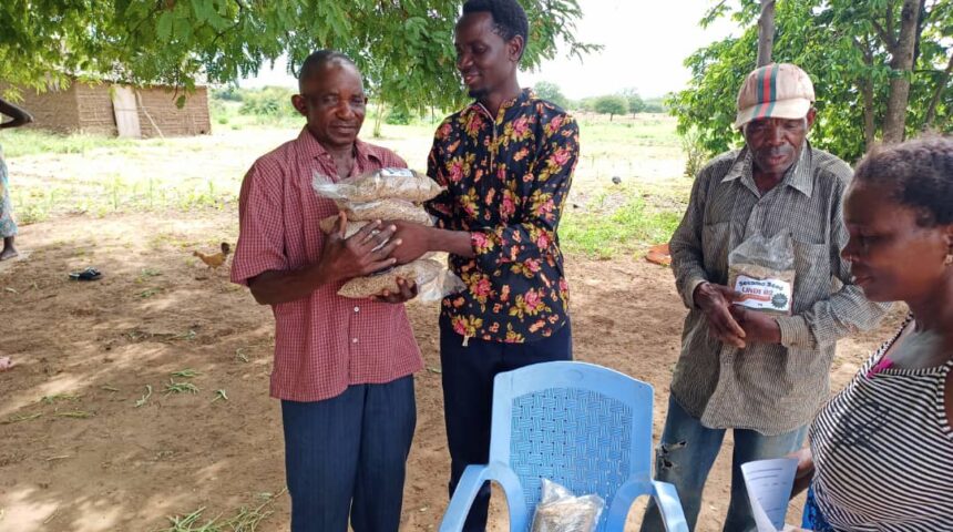 ECOWICE supported farmers with sesame seeds