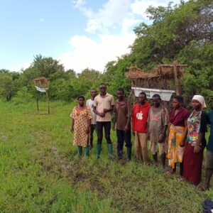 Establishment of beehive fence for crop protection