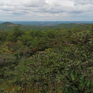 Human-wildlife coexistence project along Nyerere national park