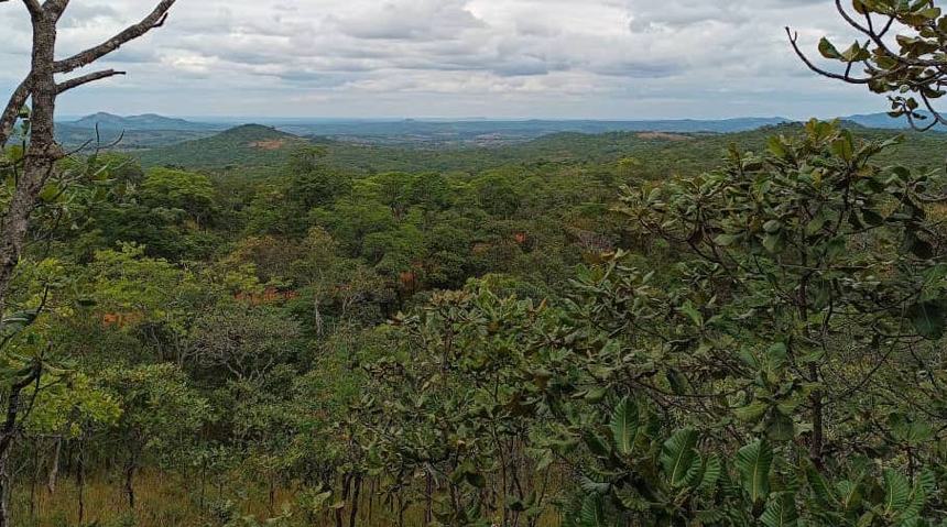 Human-wildlife coexistence project along Nyerere national park